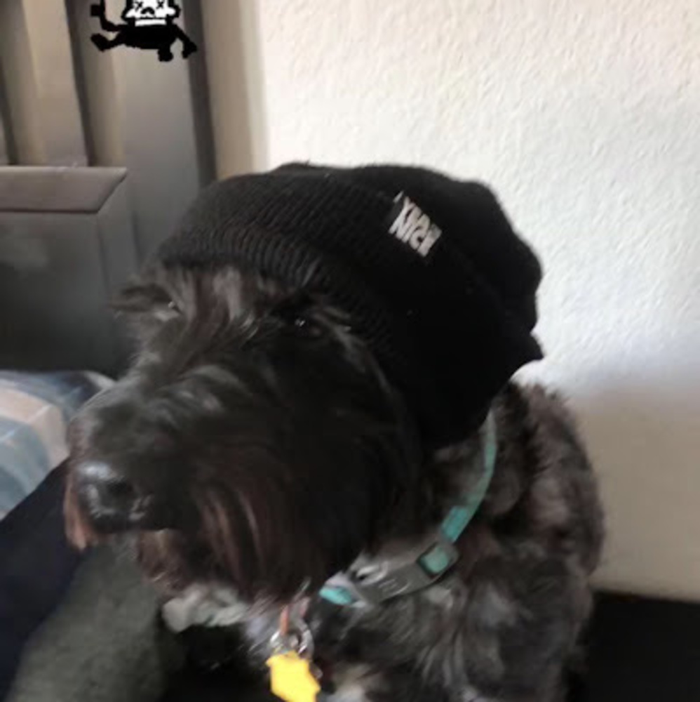 Meet your Posher, Diane